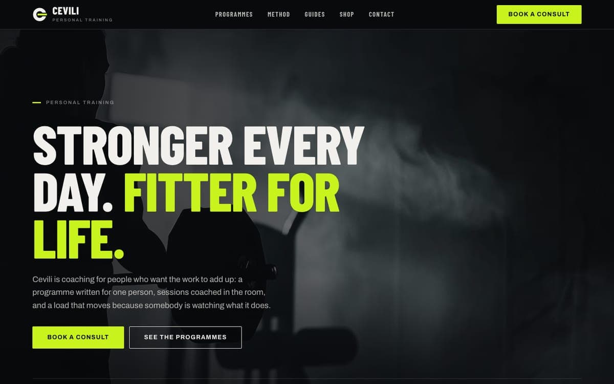The home page of cevili.com